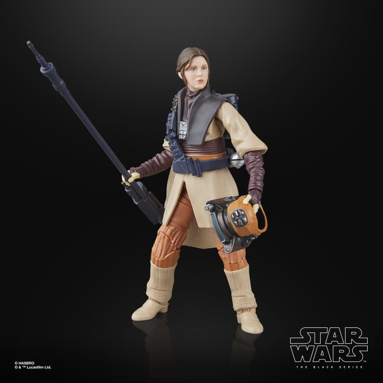 Star Wars Black Series Luke Skywalker (Imperial Guard) and Princess Leia Organa (Boushh) (Shadows of the Empire 2-Pack)